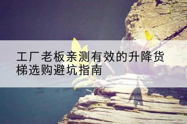 东兴升降货梯怎么选-工厂老板亲测有效的升降货梯选购避坑指南