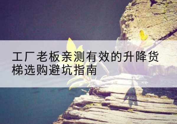 东兴升降货梯怎么选-工厂老板亲测有效的升降货梯选购避坑指南