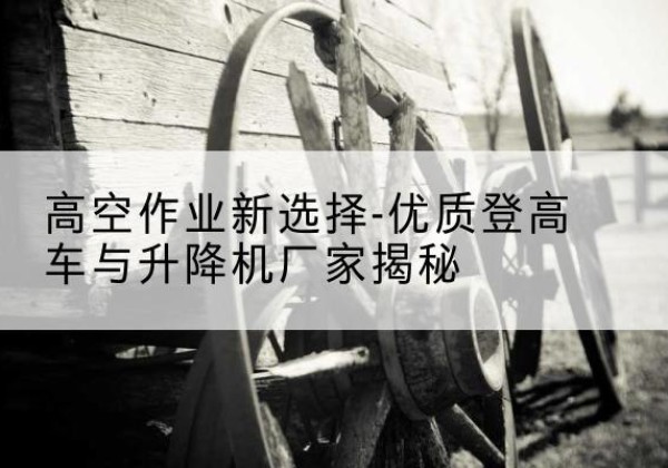 东兴登高车厂家-高空作业新选择-优质登高车与升降机厂家揭秘